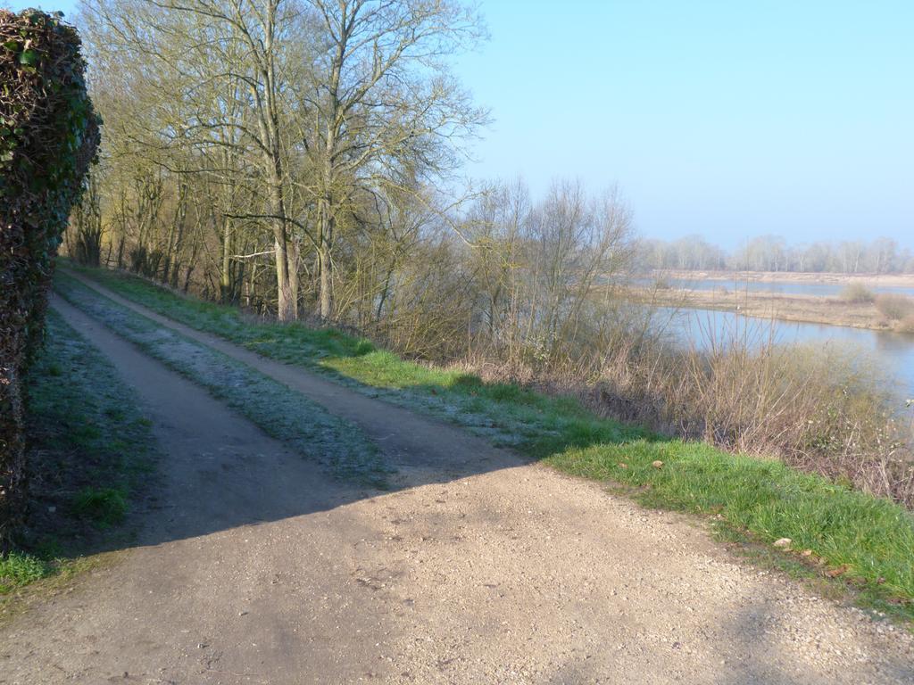 Les Gites De Colliers Muides-sur-Loire Kamer foto